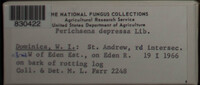 Image Associated With the Occurence
